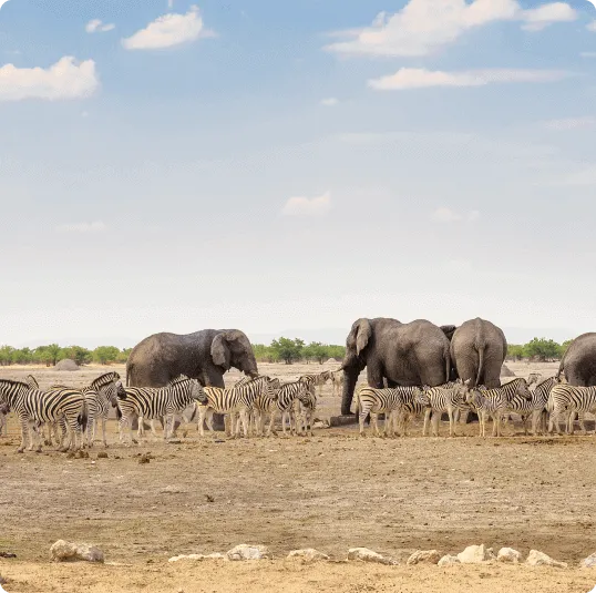 Tanzania