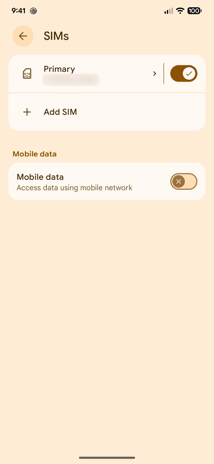 Pixel SIMs screen with Add SIM