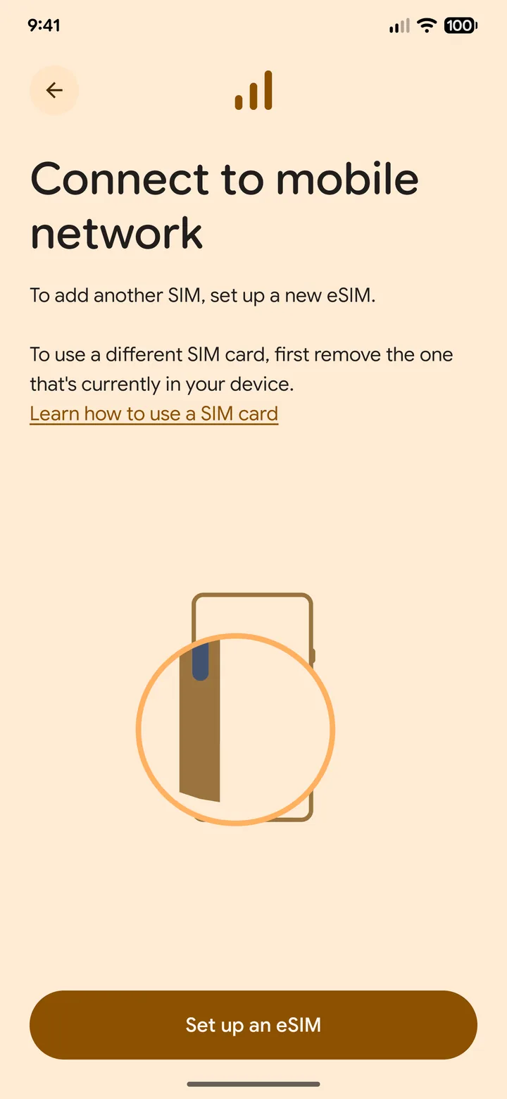 Pixel screen with the Set up an eSIM button