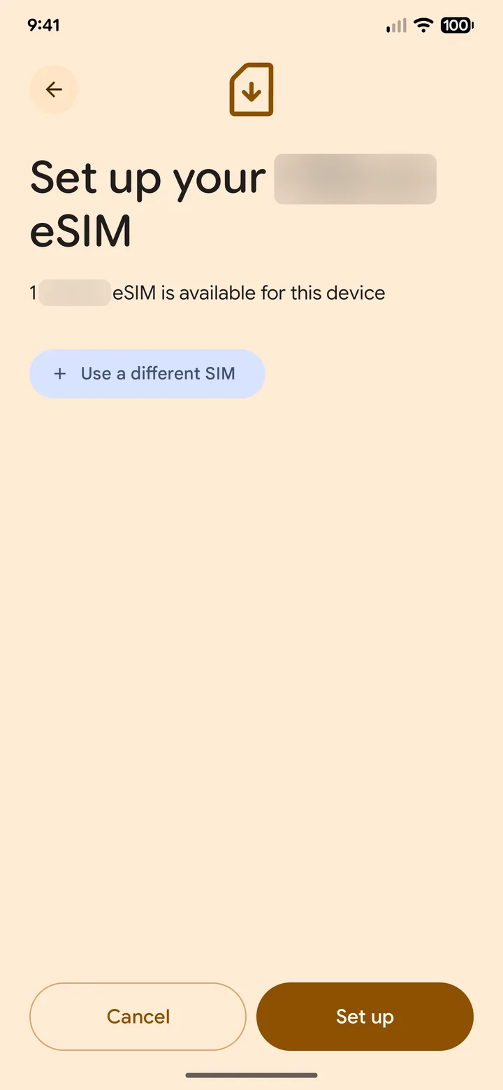 Pixel screen asking to set up the eSIM, with the Set up button