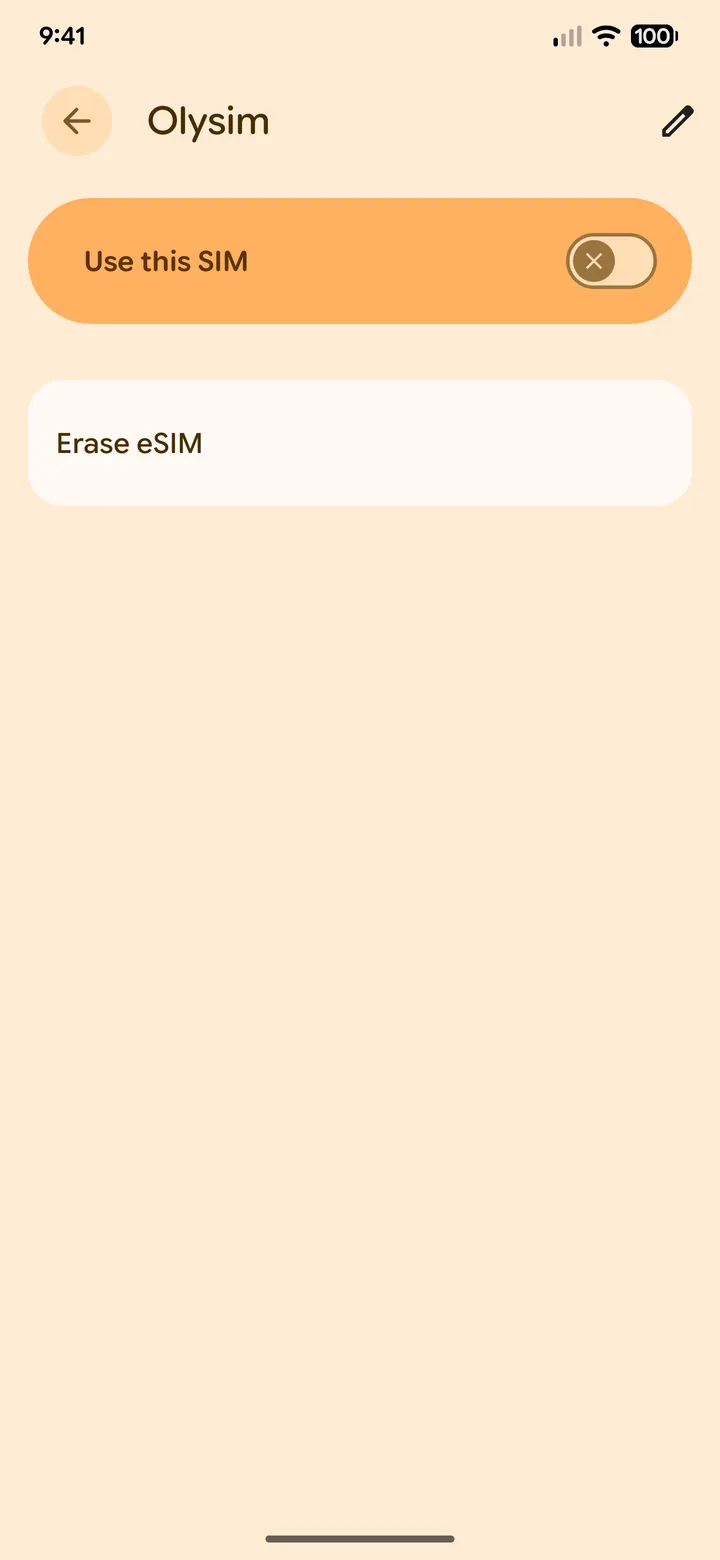 Pixel eSIM page with Use this SIM turned off