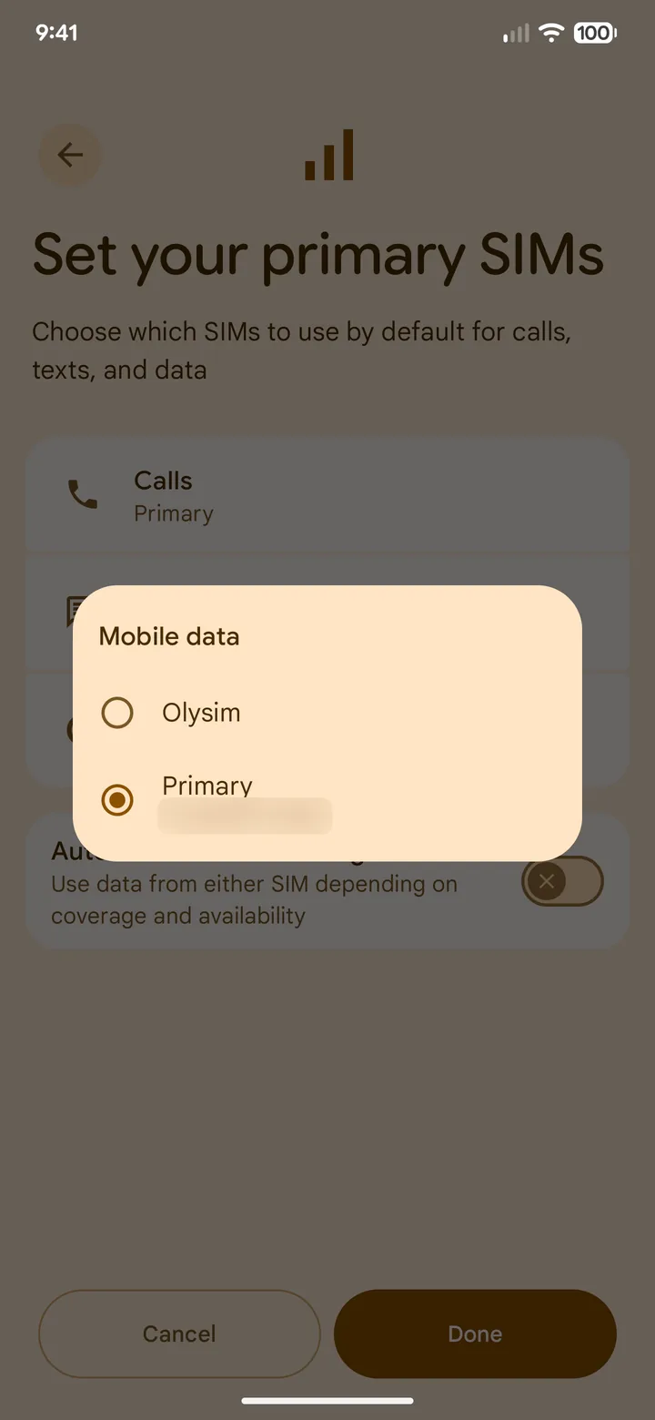 Pixel mobile data chooser with Olysim