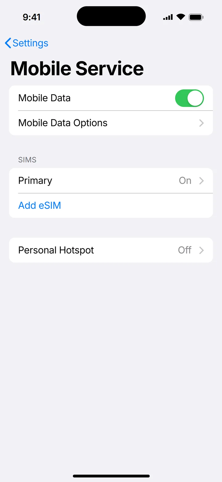 Illustration of iPhone Mobile Service with Add eSIM