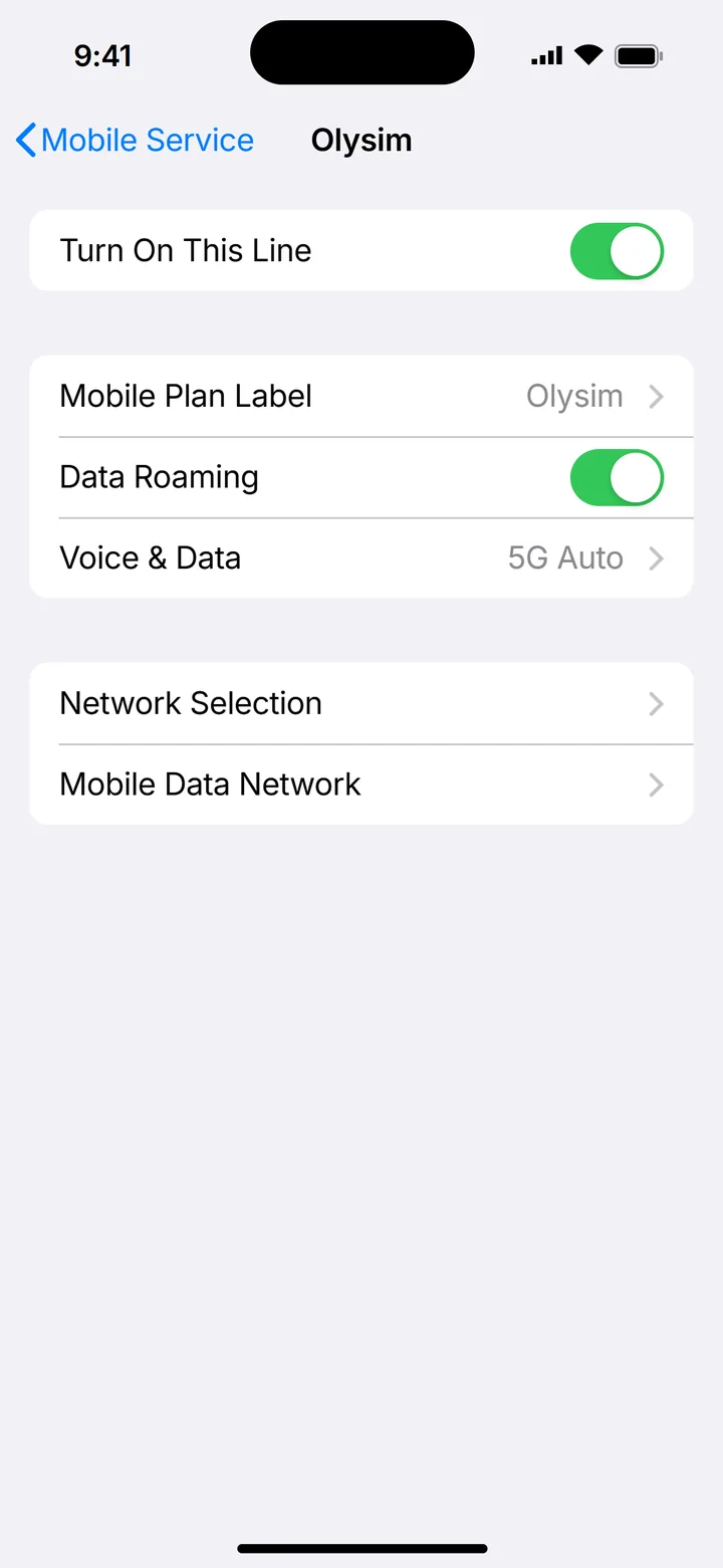 Illustration of iPhone Olysim line with Turn On This Line and Data Roaming on