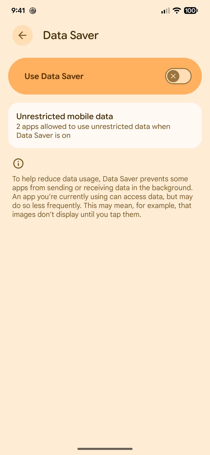 Pixel Data Saver screen with the switch