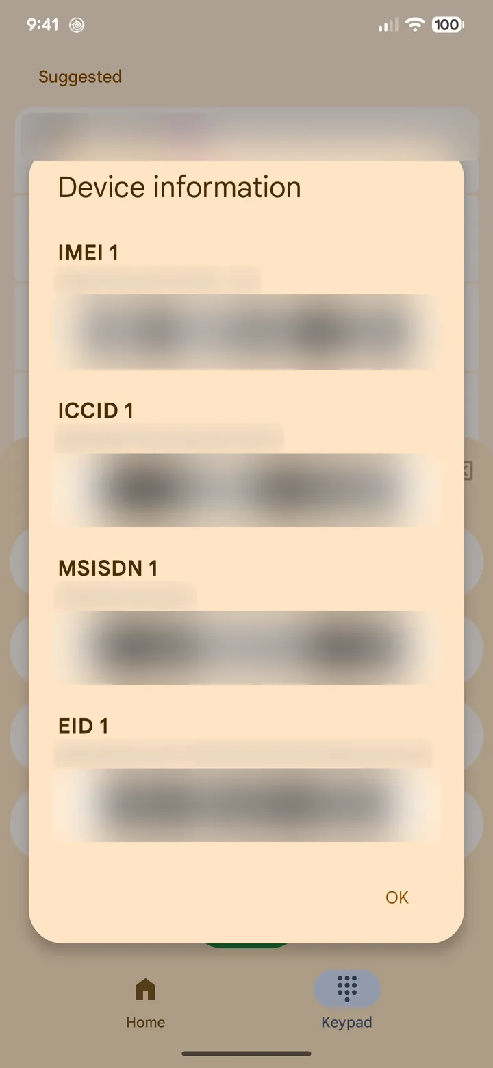 Pixel Device information screen showing IMEI and EID