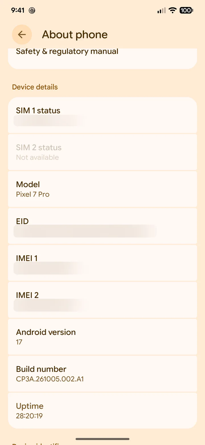 Pixel About phone screen with EID and IMEI