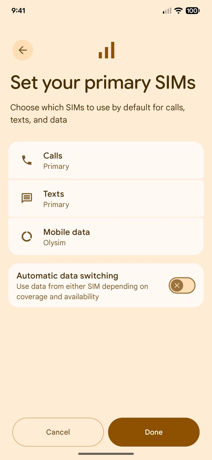 Pixel primary SIMs with Mobile data set to Olysim