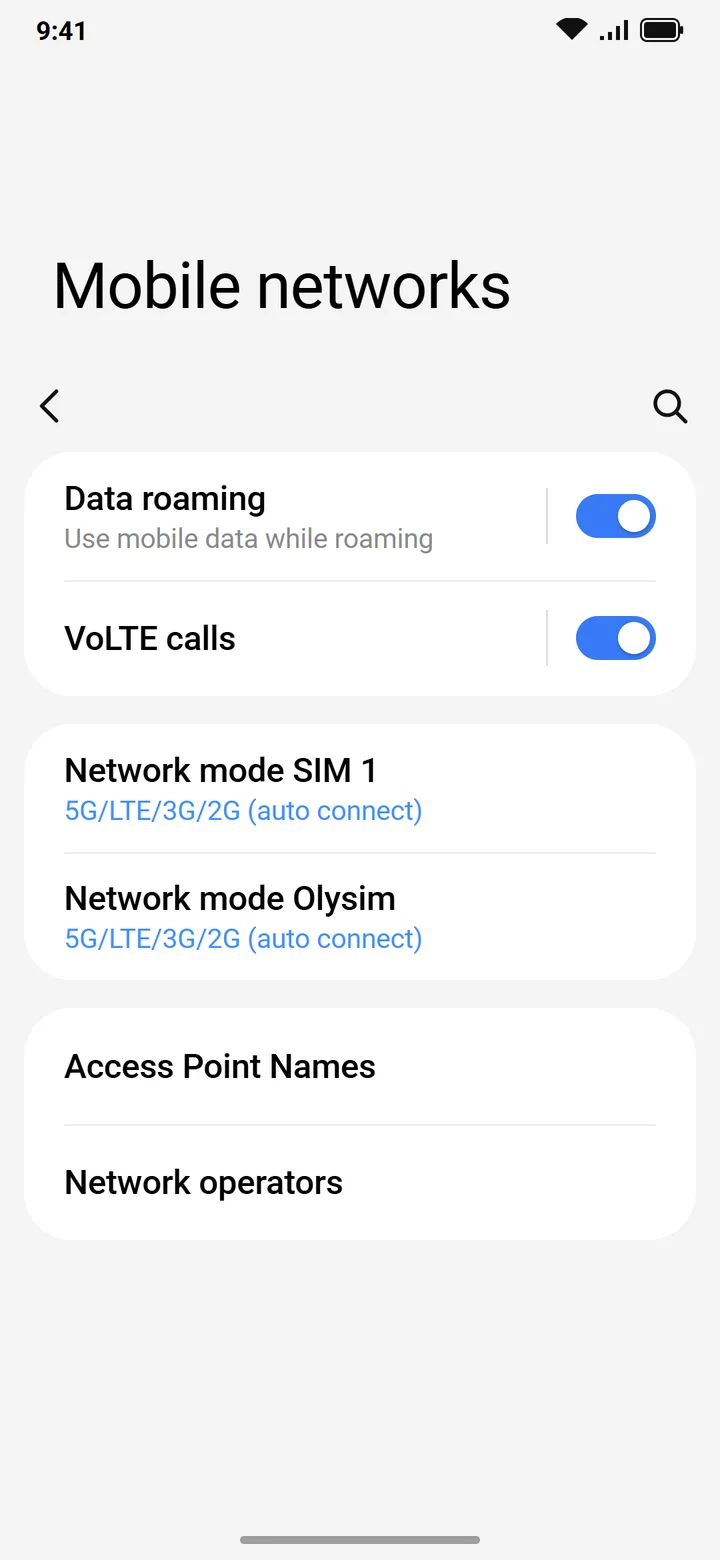 Illustration of Samsung Mobile networks with Data roaming on